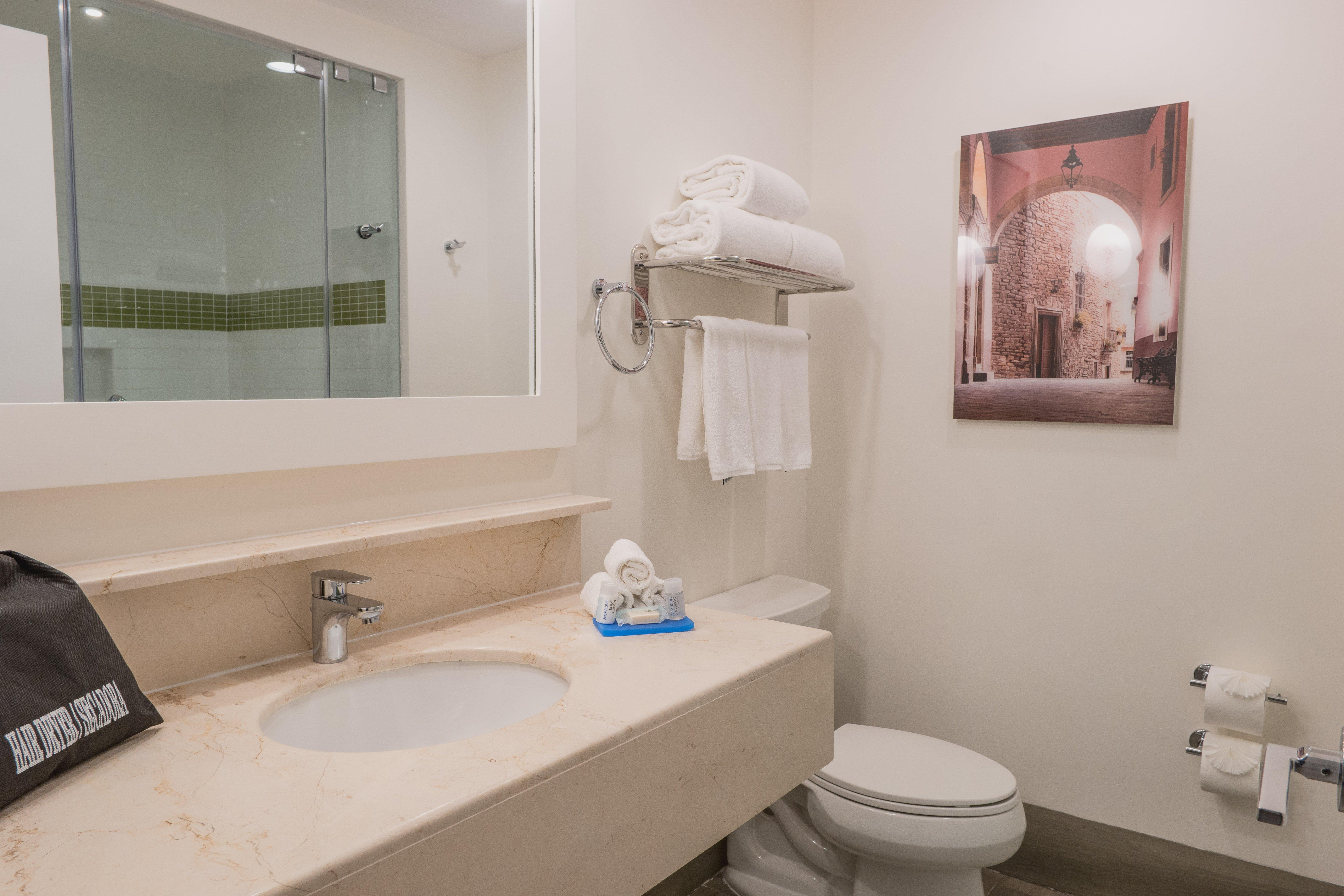 Holiday Inn Express & Suites Silao Aeropuerto Terminal, An Ihg Hotel المظهر الخارجي الصورة